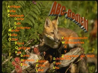 A ntilope B irke C hinabaum J aguar K atze L öwe P ferd Q uellgras R eh V ergissmeinnicht W aldsauerklee X Y Z auberkeit der Welt D achs E ule F ischotter M arder N elke O chse G urke H ermelin I ltis S childkröte T iger U hu ABC-Gedicht 