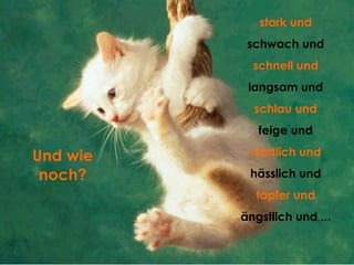 Und wie noch? stark und schwach und schnell und langsam und schlau und feige und niedlich und hässlich und tapfer und ängstlich und ... 