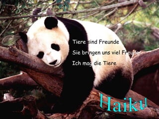 Tiere  sind Freunde Sie   bri ngen uns viel Fr eude Ich mag  die Tiere Haiku 