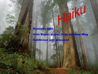 Kastanie fällt Vom Baum, platzt, liegt auf dem Weg Goldbraun und glänzend Haiku 