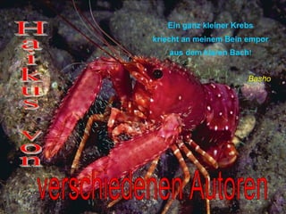 Haikus von  verschiedenen Autoren Ein ganz kleiner Krebs kriecht an meinem Bein empor aus dem klaren Bach ! Basho 