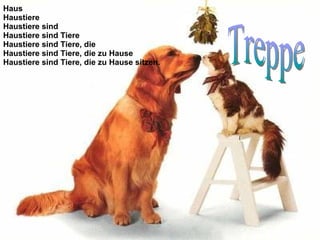 Haus Haustiere Haustiere sind Haustiere sind Tiere Haustiere sind Tiere, die Haustiere sind Tiere, die zu Hause Haustiere sind Tiere, die zu Hause sitzen. Treppe 