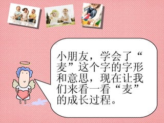 小朋友，学会了“麦”这个字的字形和意思，现在让我们来看一看“麦”的成长过程。 