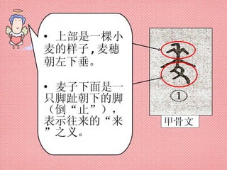 甲骨文 上部是一棵小麦的样子 , 麦穗朝左下垂。 麦子下面是一只脚趾朝下的脚（倒“止”），表示往来的“来”之义。 