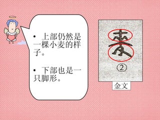 金文 上部仍然是一棵小麦的样子。 下部也是一只脚形。 