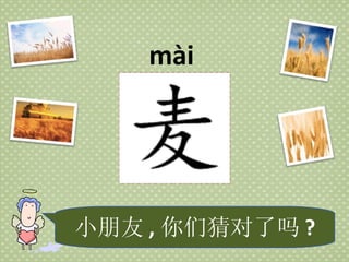 mài 小朋友 , 你们猜对了吗 ? 