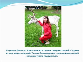 На улицах Великого Устюга можно встретить северных оленей. С одним из этих милых созданий  Татьяна Владимировна – руководитель нашей команды успела подружиться.  