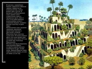 В повозках, запряжённых быками, привозили в Вавилон деревья, завёрнутые во влажную рогожу, семена редких трав и кустов. И расцвели в необыкновенных садах деревья самых удивительных пород и прекрасные цветы. День и ночь сотни рабов вращали водоподъёмное колесо с кожаными вёдрами, подавая в висячие сады воду из реки Ефрат.  Великолепные сады с редкими деревьями, красивыми ароматными цветами и прохладой в знойной Вавилонии были поистине чудом света. В покоях нижнего яруса этих садов провёл свои последние дни в июне 323 года до нашей эры Александр Македонский.  Висячие сады были разрушены наводнениями Ефрата, который во время паводков поднимался на три- четыре метра. Древний Вавилон давно перестал существовать, но имя его живет до сих пор.  