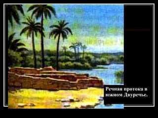 Речная протока в  южном Двуречье. 