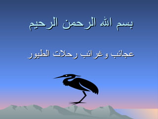 بسم الله الرحمن الرحيم عجائب وغرائب رحلات الطيور 