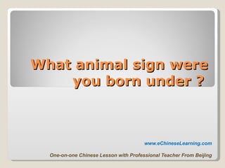 What animal sign were you born under ?   www.eChineseLearning.com One-on-one Chinese Lesson with Professional Teacher From Beijing 