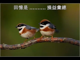 回憶是 .......... 損益彙總 