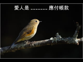 愛人是 .......... 應付帳款 