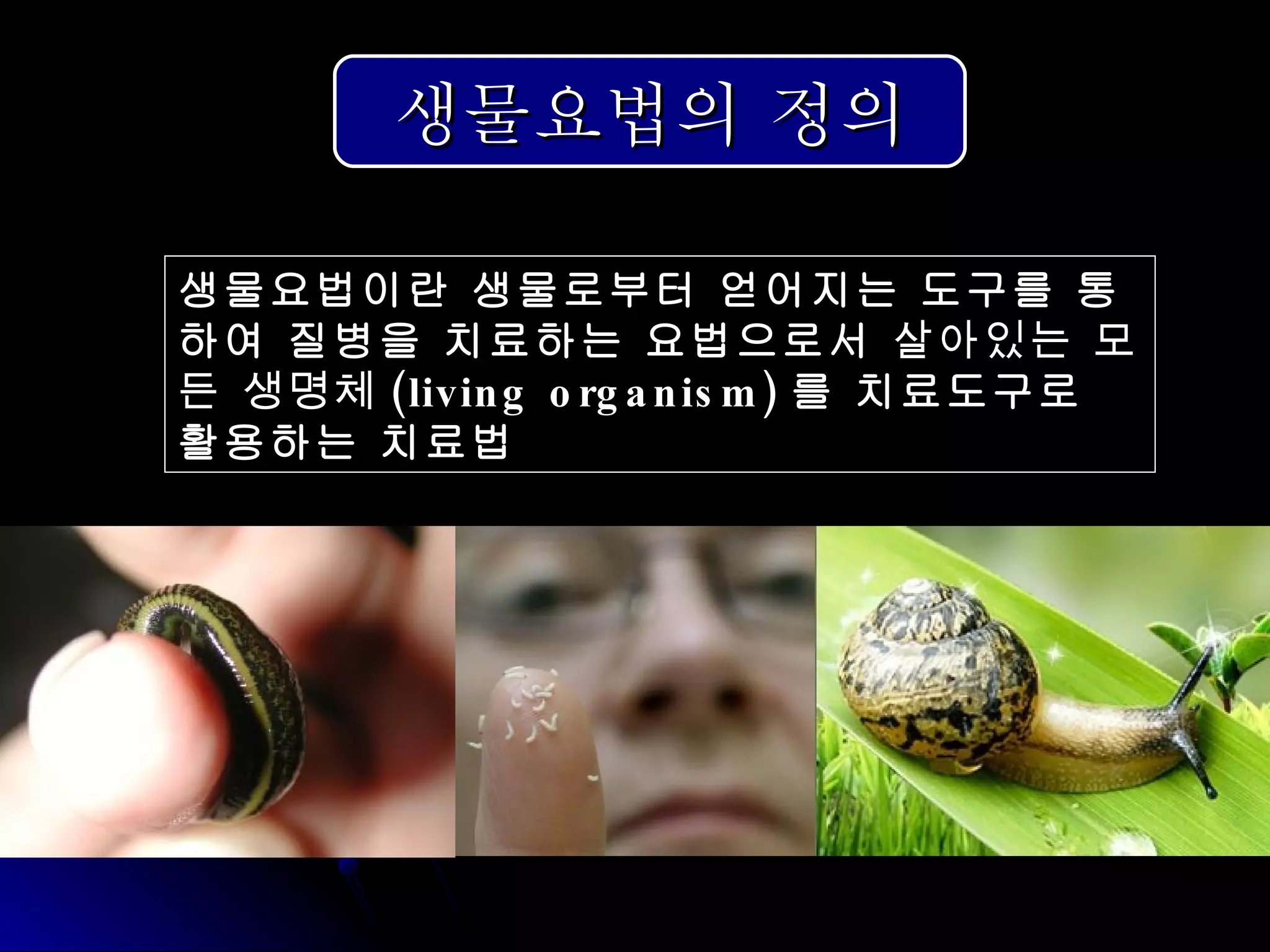 한동하 : 거머리요법의개요 | PPT