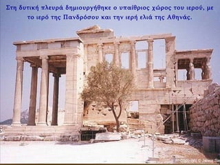 Στη δυτική πλευρά δημιουργήθηκε ο υπαίθριος χώρος του ιερού, με το ιερό της Πανδρόσου και την ιερή ελιά της Αθηνάς. 