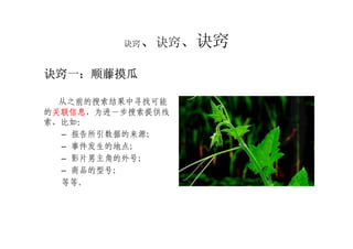 盛振中：搜寻非常道