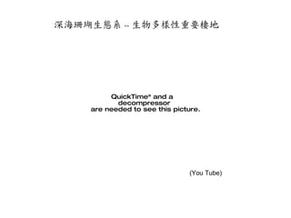 深海珊瑚生態系 -- 生物多樣性重要棲地 (You Tube) 