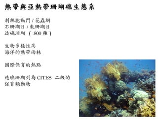 熱帶與亞熱帶珊瑚礁生態系 刺絲胞動門 / 花蟲綱 石珊瑚目 / 軟珊瑚目 造礁珊瑚  （ 800 種 ） 生物多樣性高 海洋的熱帶雨林 國際保育的熱點 造礁珊瑚列為 CITES  二級的 保育類動物 