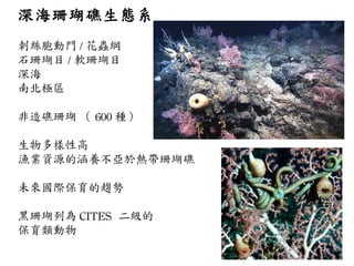 深海珊瑚礁生態系 刺絲胞動門 / 花蟲綱 石珊瑚目 / 軟珊瑚目 深海 南北極區 非造礁珊瑚 （ 600 種） 生物多樣性高 漁業資源的涵養不亞於熱帶珊瑚礁 未來國際保育的趨勢 黑珊瑚列為 CITES  二級的 保育類動物 