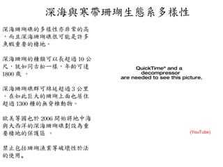 深海與寒帶珊瑚生態系多樣性 (YouTube) 深海珊瑚礁的多樣性亦非常的高，而且深海珊瑚礁很可能是許多魚蝦重要的棲地。 深海珊瑚的種類可以長超過 10 公尺，就如同古松 ㄧ 樣， 年齡可達 1800 歲  。 深海珊瑚礁群可綿延超過 3 公里。在如此巨大的珊瑚上面也居住超過 1300 種的無脊椎動物。 歐美等國也於 2006 開始將地中海與大西洋的深海珊瑚礁劃設為重要棲地的保護區 。 禁止包括珊瑚漁業等破壞性於法的使用 。 