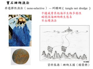 寶石珊瑚漁法 非選擇性漁法（ none-selective ） --- 糾纏網 （ tangle net dredge ） 資料來源：珊瑚王國（賴榮興） 干擾威脅其他海洋生物多樣性 破壞深海珊瑚礁生態系 不永續漁法 