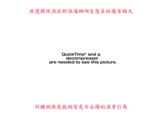 非選擇性漁法對深海珊瑚生態系的傷害極大 糾纏網與底拖網皆是不永續的漁業行為 