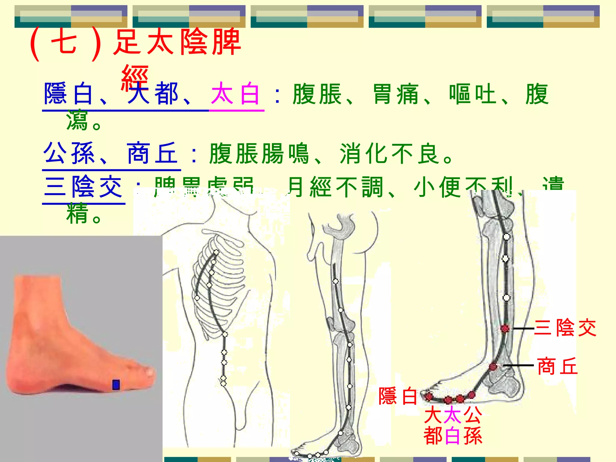 ( 七 ) 足太陰脾經 隱白、大都、 太白 ： 腹脹、胃痛、嘔吐、腹瀉。 公孫、商丘 ： 腹脹腸鳴、消化不良。 三陰交 ： 脾胃虛弱、月經不調、小便不利、遺精。 隱白 商丘 三陰交 大都 太白 公孫 