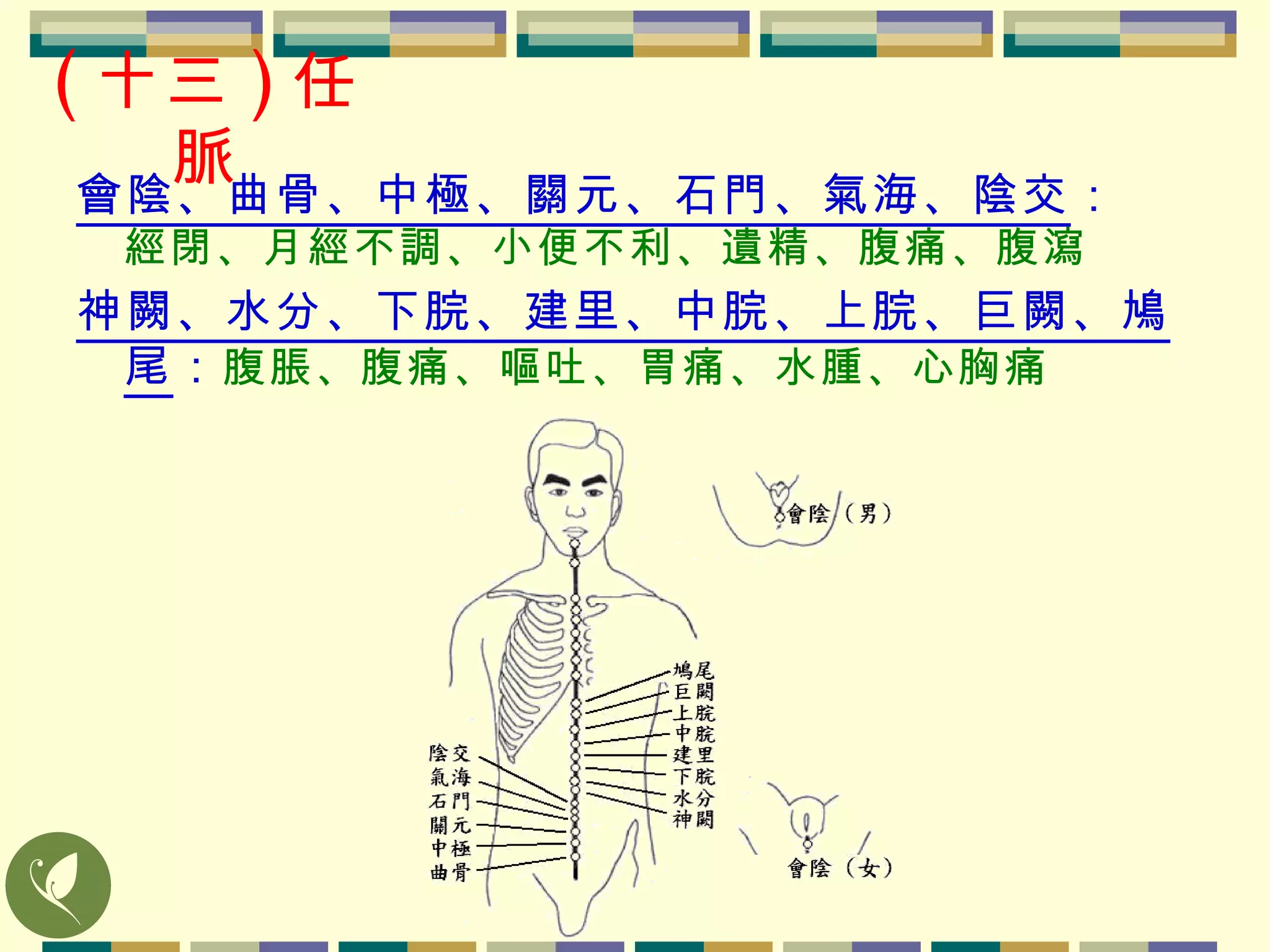 ( 十三 ) 任脈 會陰、曲骨、中極、關元、石門、氣海、陰交 ： 經閉、月經不調、小便不利、遺精、腹痛、腹瀉 神闕、水分、下脘、建里、中脘、上脘、巨闕、鳩尾 ： 腹脹、腹痛、嘔吐、胃痛、水腫、心胸痛 