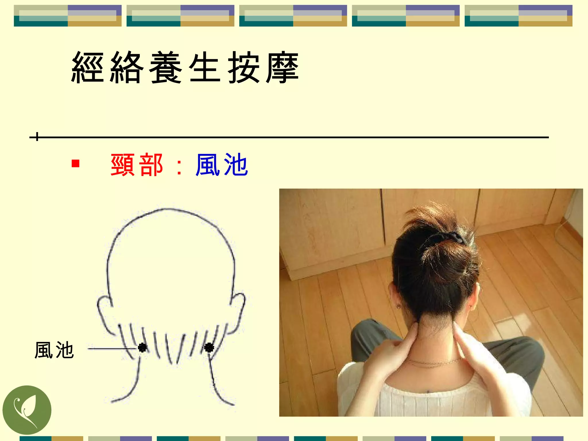 頸部 ： 風池 經絡養生按摩   風池 