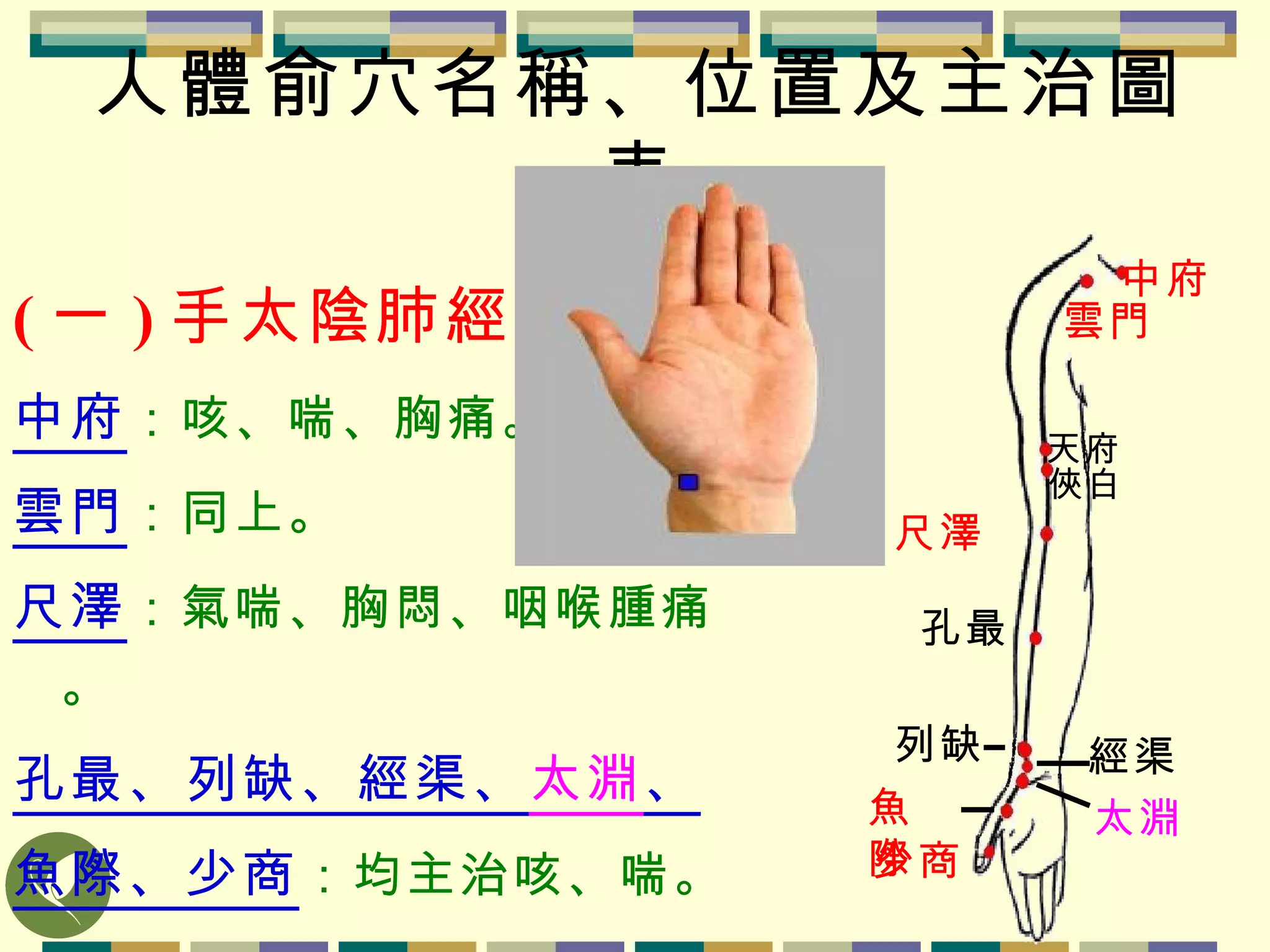 人體俞穴名稱、位置及主治圖表 ( 一 ) 手太陰肺經 中府 ：咳、喘、胸痛。 雲門 ：同上。 尺澤 ：氣喘、胸悶、咽喉腫痛。 孔最、列缺、經渠、 太淵 、 魚際、少商 ：均主治咳、喘。 中府 雲門 天府 俠白 尺澤 孔最 列缺 經渠 太淵 魚際 少商 