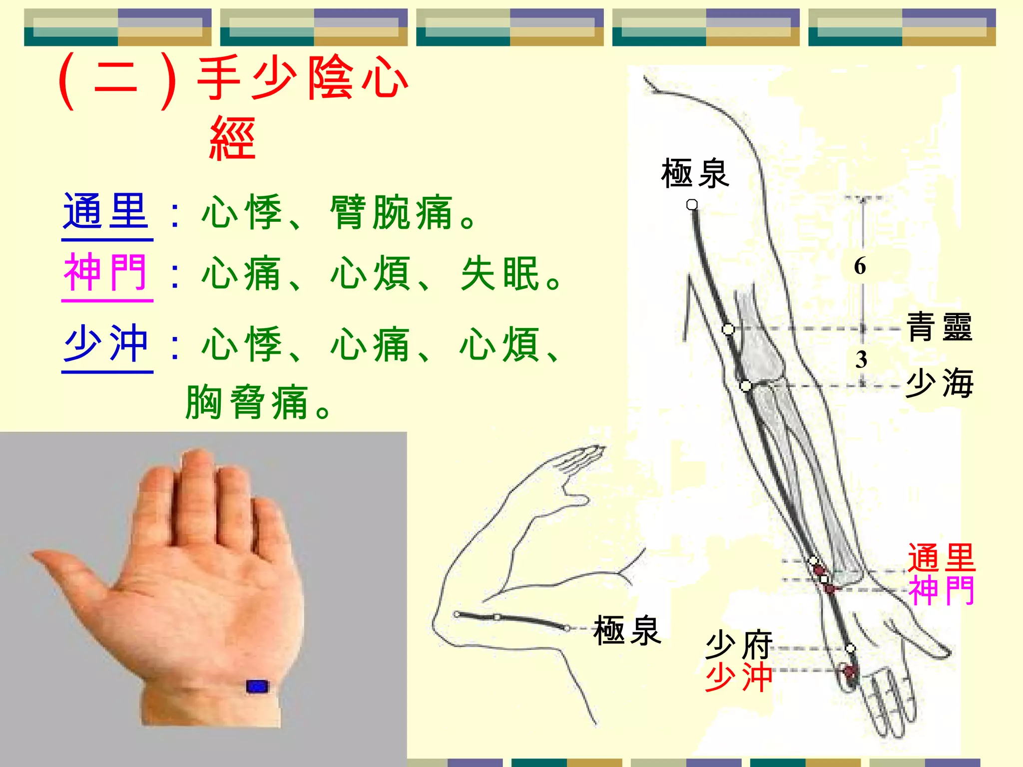 ( 二 ) 手少陰心經 通里 ： 心悸、臂腕痛。 神門 ： 心痛、心煩、失眠。 少沖 ： 心悸、心痛、心煩、   胸脅痛。 青靈 6 3 少海 通里 神門 少府 少沖 極泉 極泉 