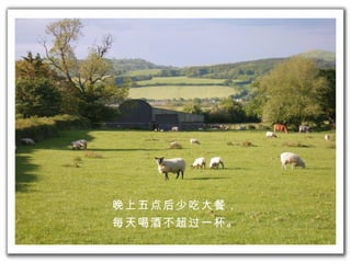 晚上 五点后 少吃 大餐 ， 每天喝酒不超 过 一杯。 