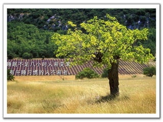 睡眠不足八小 时 人 易变笨 ， 有 午睡习惯 的人不易老。 