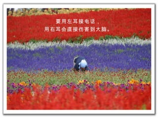 要 用左耳接 电话 ， 用右耳 会 直接 伤害 到 大脑 。 