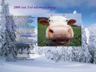 2009 год. Год жёлтого быка. Астрономические определения года могут основываться на периоде между повторениями различных астрономических событий, связанных с  орбитальным  движением Земли вокруг Солнца. Так, тропический год привязан к видимому движению Солнца относительно экватора Земли и определяет смену  времён года ; сидерический год привязан к орбитальному движению Земли вокруг солнца в  инерциальной системе отсчёта  (относительно «неподвижных звёзд»); аномалистический год связан с движением Земли относительно точек её орбиты (перигелия и афелия). В связи с тем, что параметры орбиты Земли и ориентация её оси вращения по отношению к  эклиптике  медленно изменяются со временем, эти определения года слегка отличаются. Ситуация усложняется, если определение года привязывается к суточному вращению Земли относительно Солнца (солнечные календари) или к взаимному положению  Луны  и Солнца относительно Земли (лунно-солнечные календари). Поскольку период обращения Земли вокруг Солнца (в любом определении), средний период осевого обращения Земли по отношению к Солнцу (средние солнечные сутки) и периоды обращения Луны вокруг Земли (сидерический, синодический, драконический  месяцы ) не соотносятся в точной пропорции, во всех существующих календарях приходится вводить те или иные поправки (високосные дни, дополнительные месяцы и т.п.), чтобы сохранить соизмеримость единиц счёта времени, основанных на природных астрономических циклах (года, лунного месяца, солнечных суток). 