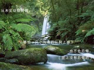 从未见动物后悔。 哪怕一只小鸟冻的从树上掉下 也不会后悔。 （世上没有后悔药） 