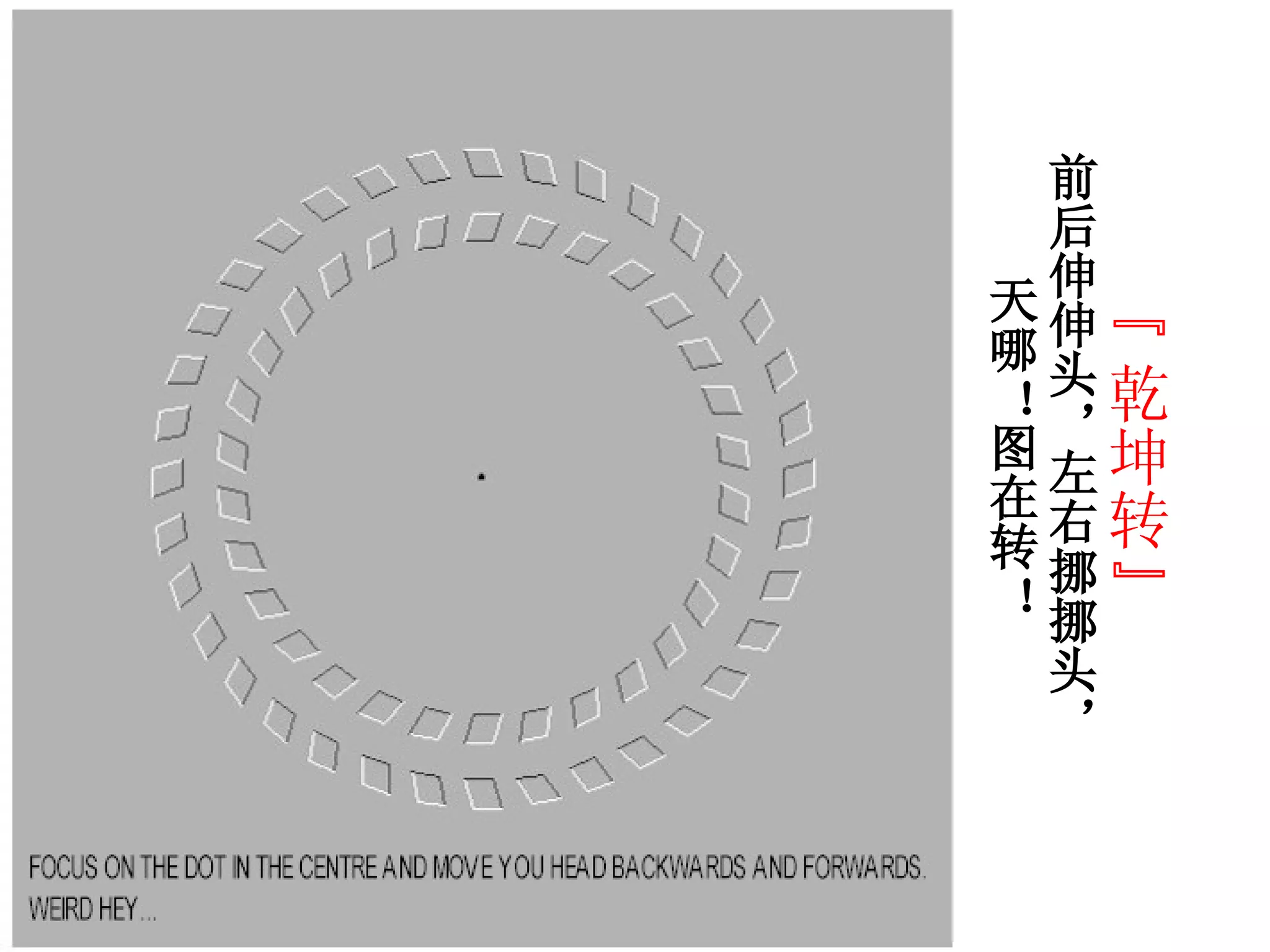 论文评述] 3D Visual Illusion Depth Estimation, image size:2048x1536