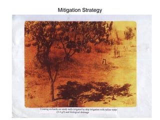 10
Mitigation Strategy
 