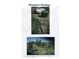 11
Mitigation Strategy
 