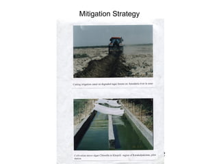 12
Mitigation Strategy
 