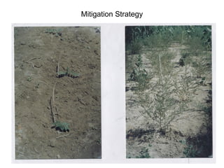17
Mitigation Strategy
 