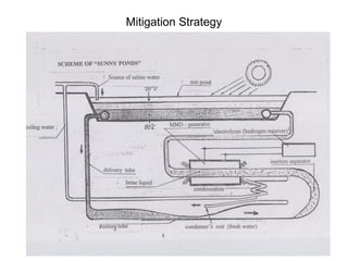 18
Mitigation Strategy
 