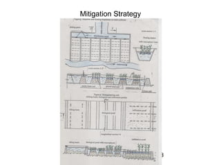 8
Mitigation Strategy
 