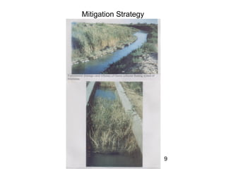 9
Mitigation Strategy
 