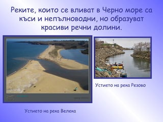 българско черноморско | PPT