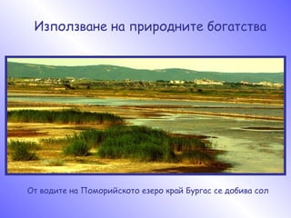 Използване на природните богатства От водите на Поморийското езеро край Бургас се добива сол 