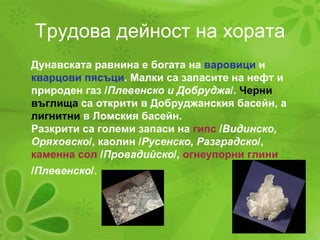 Трудова дейност на хората Дунавската равнина е богата на  варовици  и  кварцови пясъци . Малки са запасите на нефт и природен газ / Плевенско и Добруджа /.  Черни въглища  са открити в Добруджанския басейн, а  лигнитни  в Ломския басейн. Разкрити са големи запаси на  гипс  / Видинско, Оряховско /, каолин / Русенско, Разградско /,  каменна сол  / Провадийско /,  огнеупорни глини  / Плевенско /.   