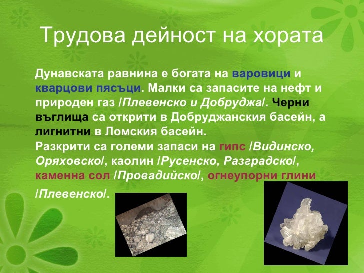 дунавска равнина
