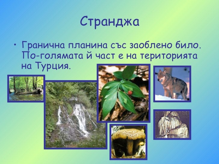 преходна област