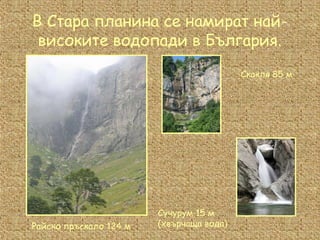старопланинска област | PPT